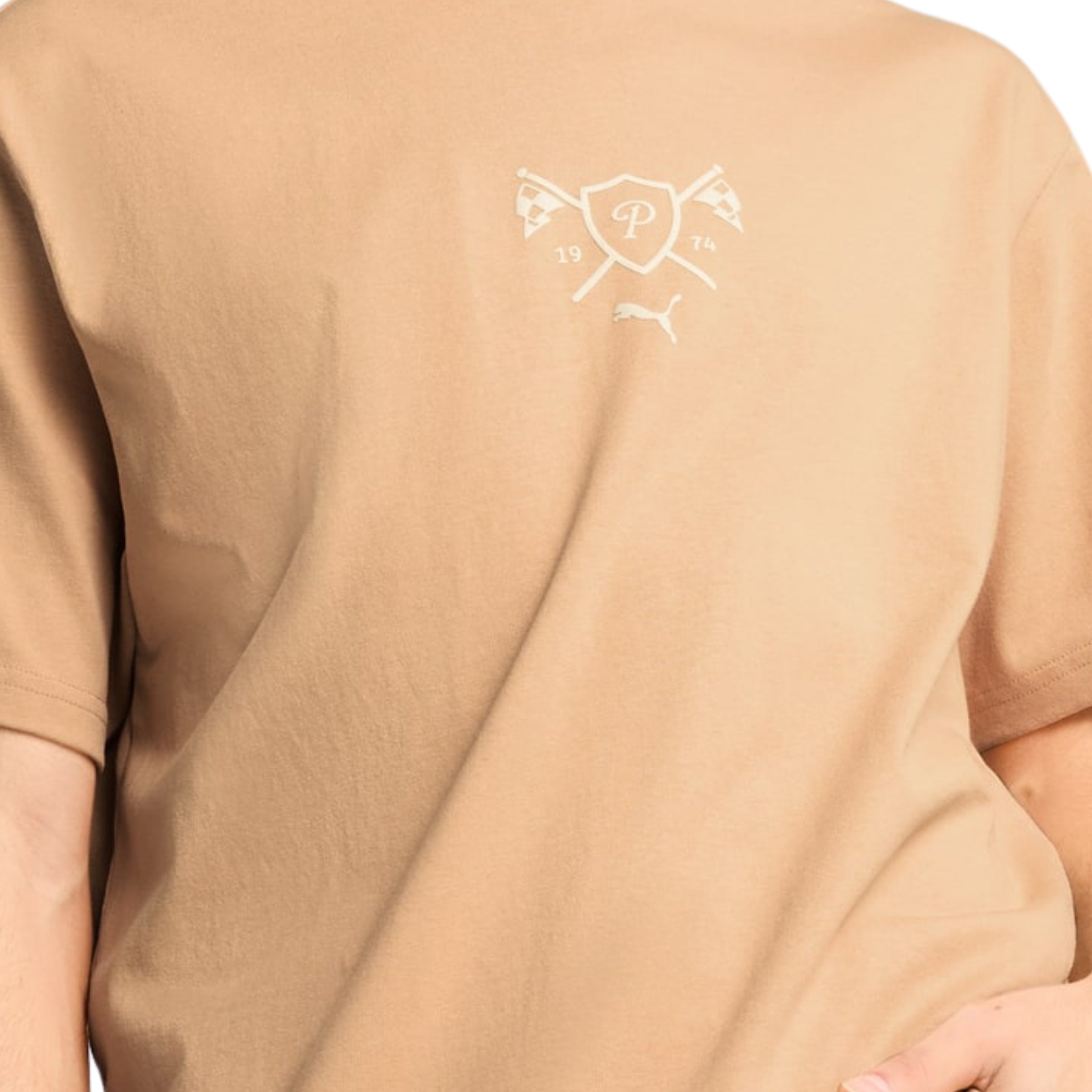 Puma T-Shirt Lifestyle Graphic Rust